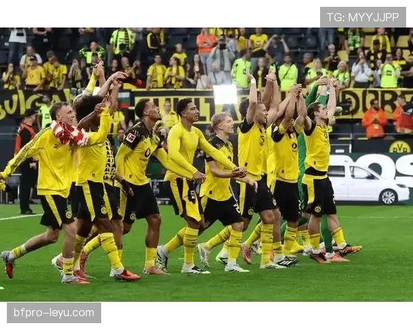 多特蒙德主场逆转取胜,状态回暖紧追德甲榜首