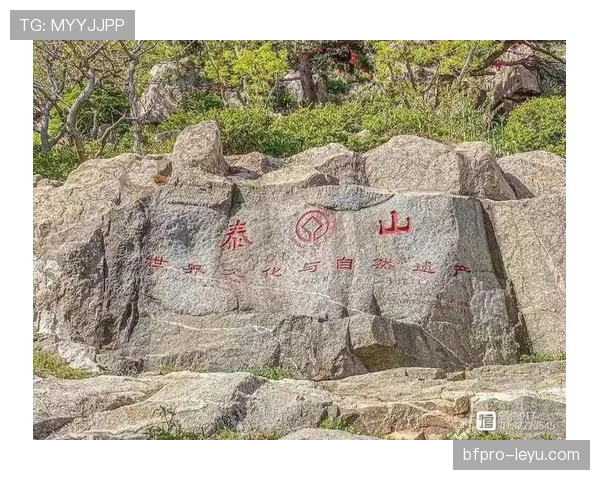 山东泰山豪门地位:当前竞争格局与稳定性面临考验 山东泰山豪门地位:当前竞争格局与稳定性面临考验