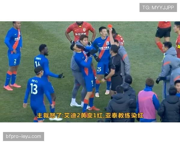 教练红牌判罚规则详解:哪些行为会直接被驱逐? 教练红牌判罚规则详解:哪些行为会直接被驱逐?